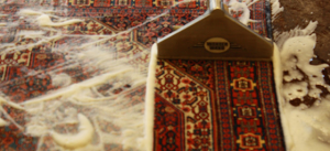 persian_being_washed_carpet_service